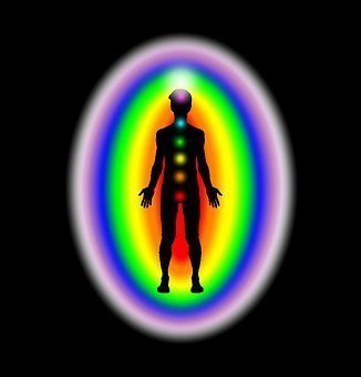 Bioenergetische Untersuchungen zum Schungit
